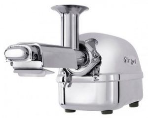 Slowjuicer Angel AG7500