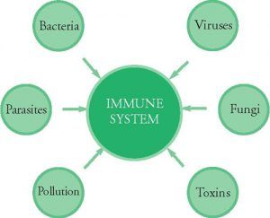 R in de maand – 5 do’s & don’ts