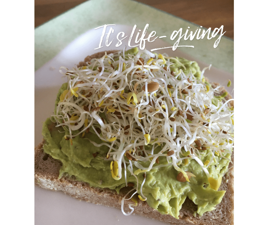 Guacamole recept (klaar in 2 minuten)