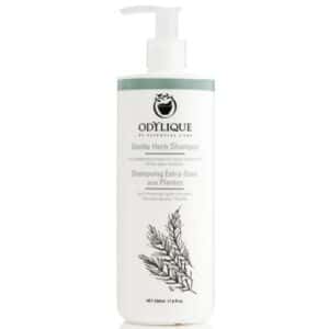 Milde kruiden Shampoo - Odylique 500 ml.